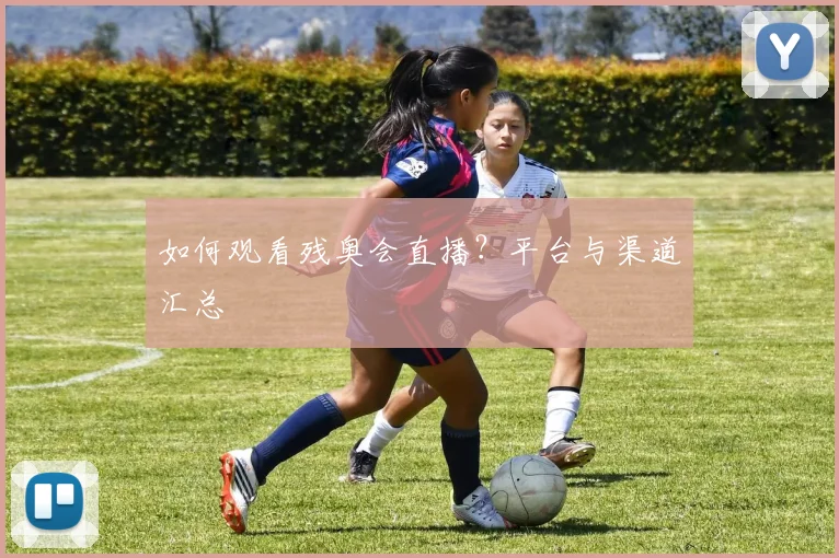 如何观看残奥会直播？平台与渠道汇总