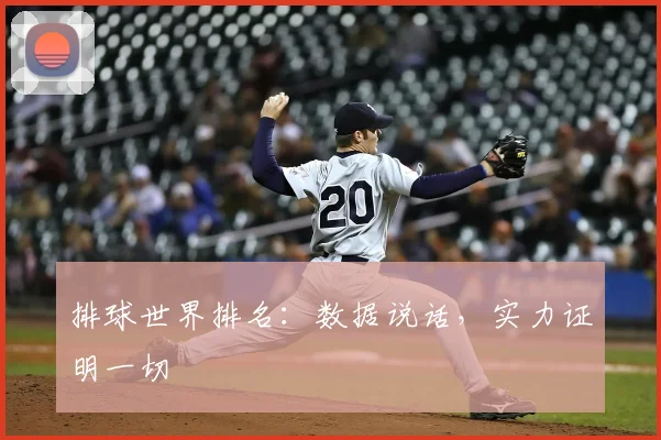 排球世界排名：数据说话，实力证明一切